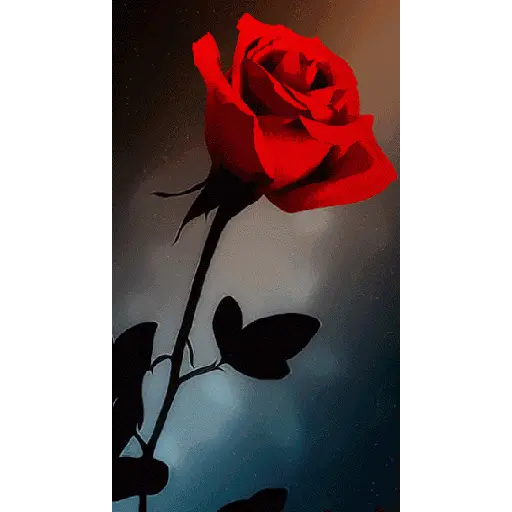 Leão de Judá/Roses 16