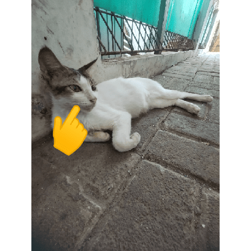 Sticker Image