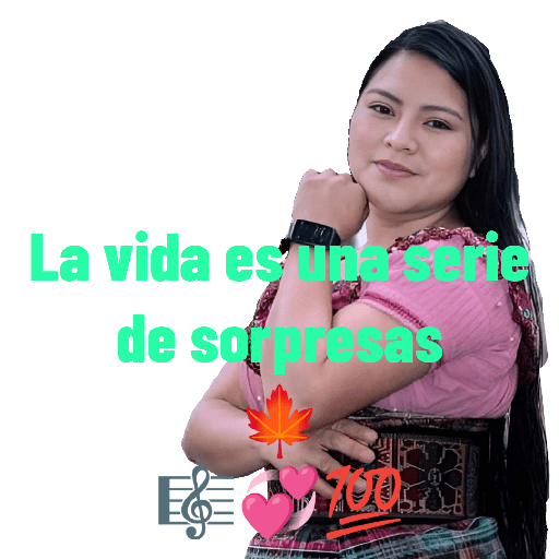 Dinero 12