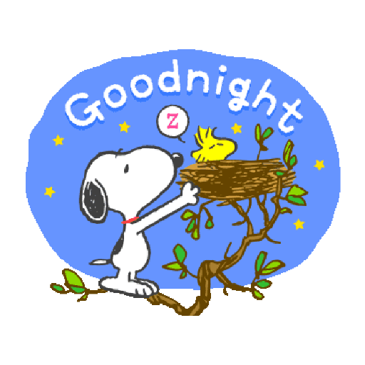 Snoopy 27