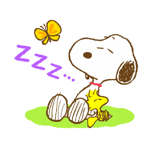 Snoopy 30