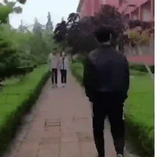 Funny gif 14