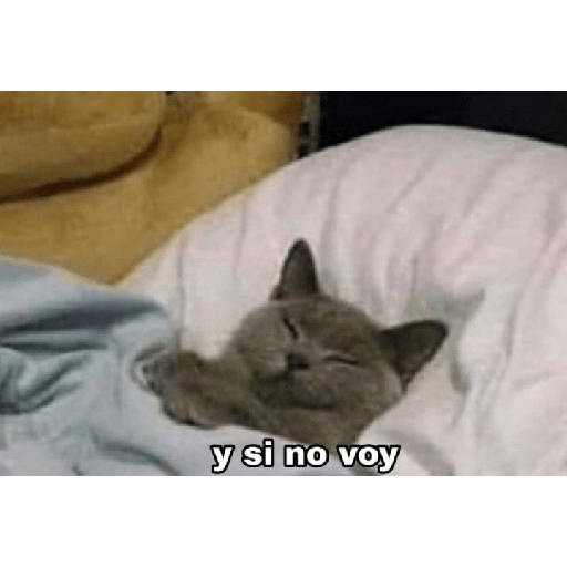 Y si te llama Román 9