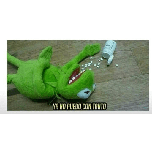La rana rene 17