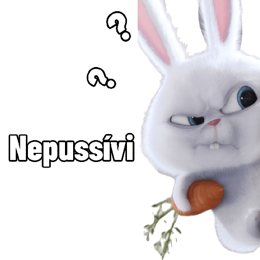 Coelhinho reações 11