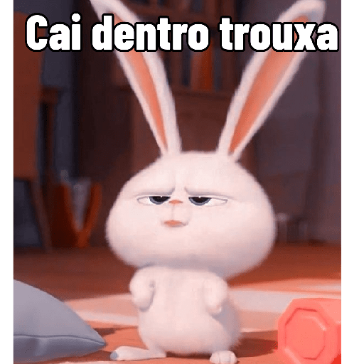 Coelhinho reações 10