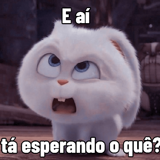 Coelhinho reações 12