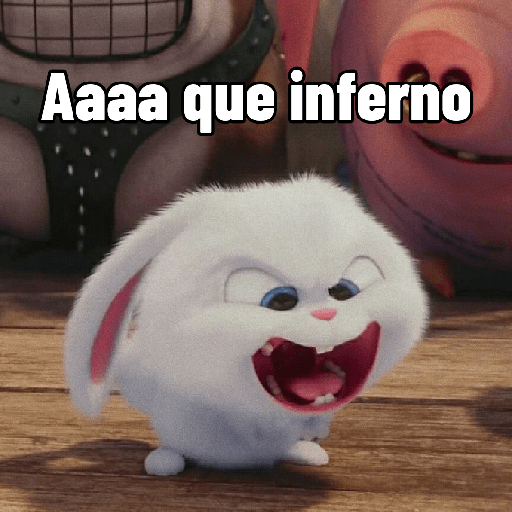 Coelhinho reações 3