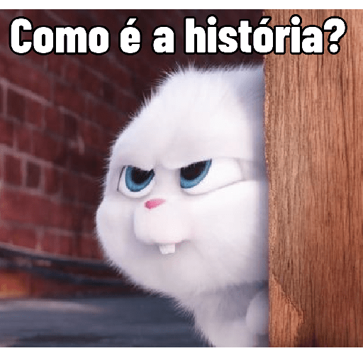 Coelhinho reações 4