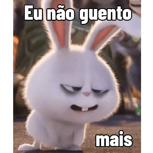Coelhinho reações 5