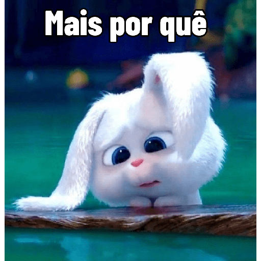 Coelhinho reações 6