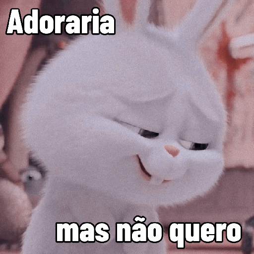 Coelhinho reações 8