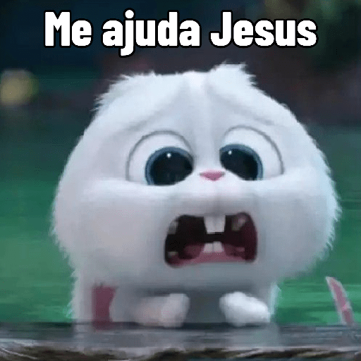 Coelhinho reações 9