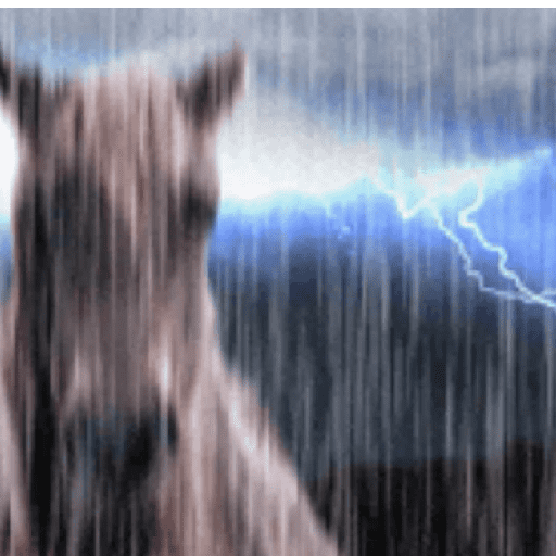 Tu mama 13