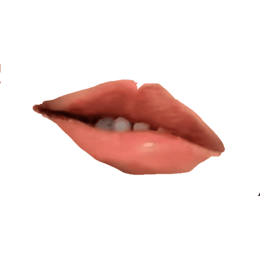 Cupim  20