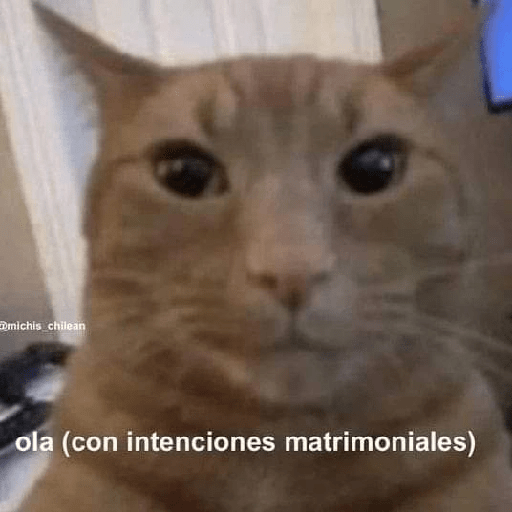 Imon