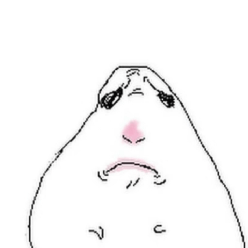 Hamster 19