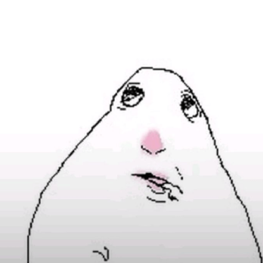 Hamster 23