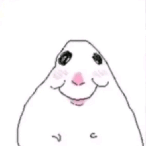 Hamster 12
