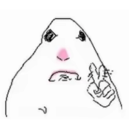 Hamster 13