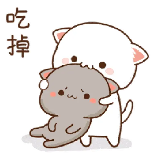 Kucing lucu 2 25