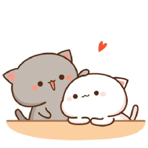 Kucing lucu 2 8