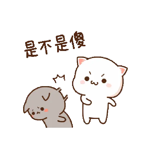 Kucing lucu 2 3