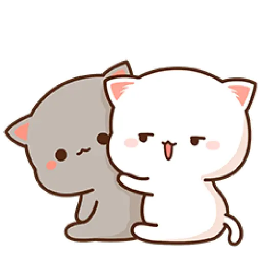 Kucing lucu 2 20