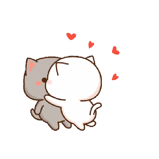 Kucing lucu 2 24