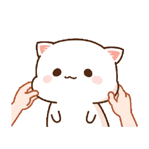 Kucing lucu 2 5