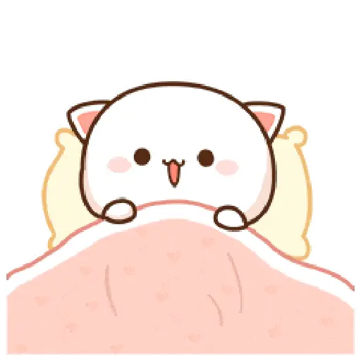 Kucing lucu 2 7