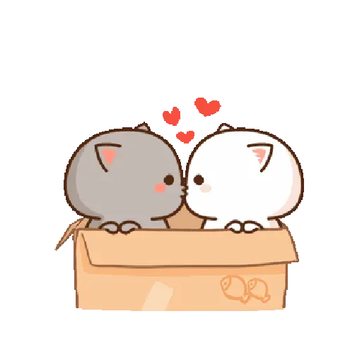 Kucing lucu 2 4