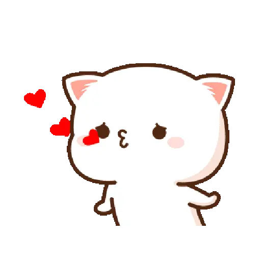 Kucing lucu 2 9