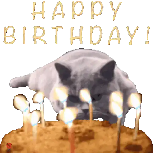 Feliz cumpleaños 🎂 20