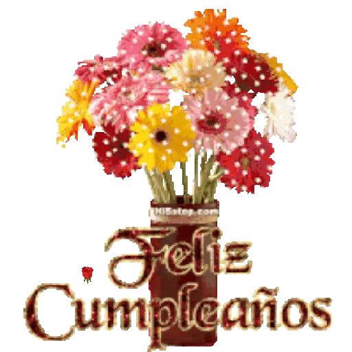 Feliz cumpleaños 🎂 19