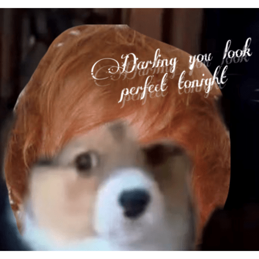 Perron 14