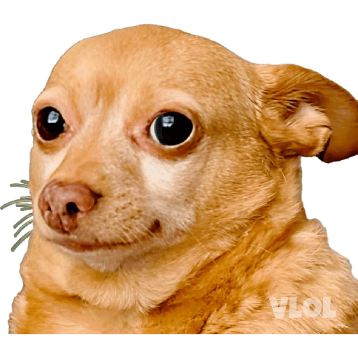 Dog 30