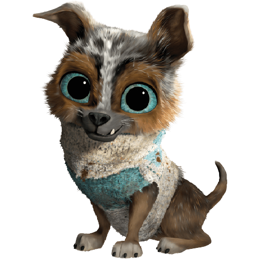 Dog 11