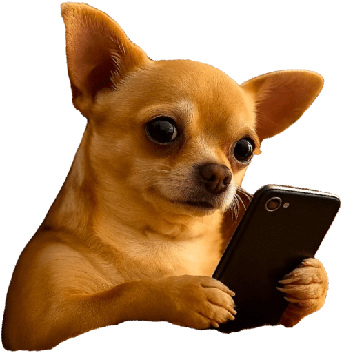 Dog 26