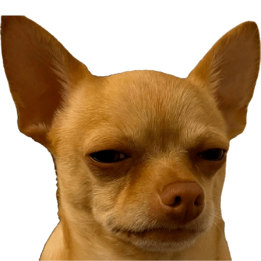 Dog 27