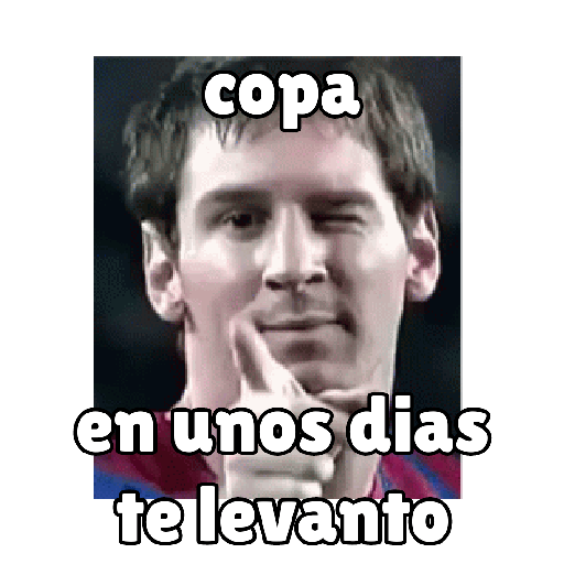 ⚽qatar⚽