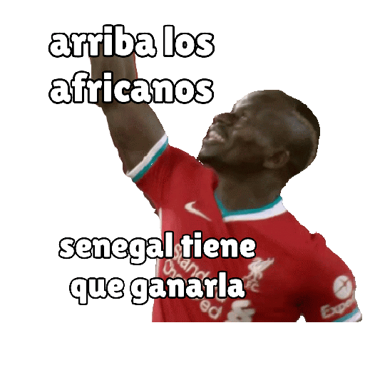 ⚽qatar⚽