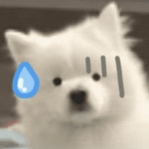 🌈🐕✨️Perrito Funny Mood✨️🐕🌈