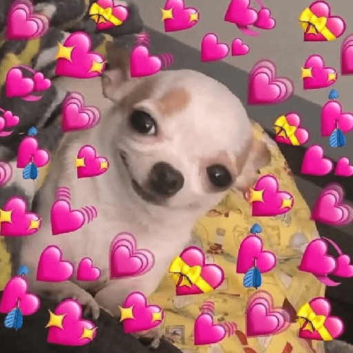 ❤️✨️Perritos Corazoncitos✨️❤️