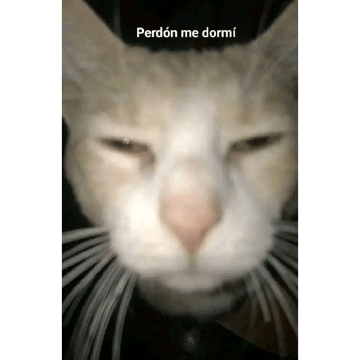 🤣🤣🤣🤣🤣🤣 4