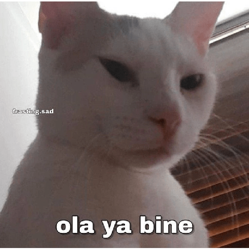 🤣🤣🤣🤣🤣🤣 5