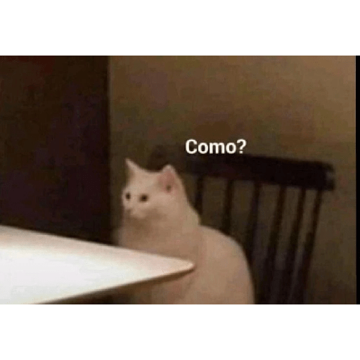 🤣🤣🤣🤣🤣🤣 17