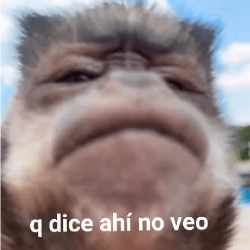 🤣🤣🤣🤣🤣🤣 27