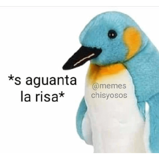 🤣🤣🤣🤣🤣🤣 29
