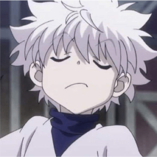 ✿♡KILLUA♡✿ 13